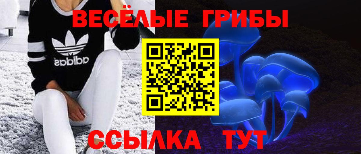 наркотики  Вход с VPN  Кировск  Псилоцибиновые грибы MAGIC MUSHROOMS  Галлюциногенные грибы Psilocybine cubensis 